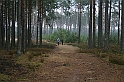 Rostoczek 11.2008 022